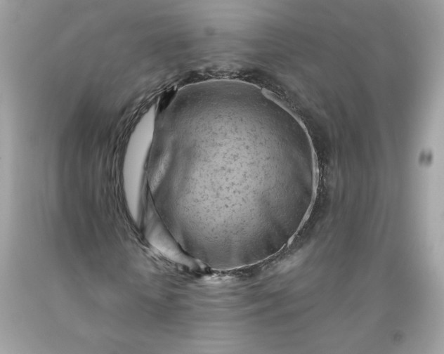 X0000091570818200709051037