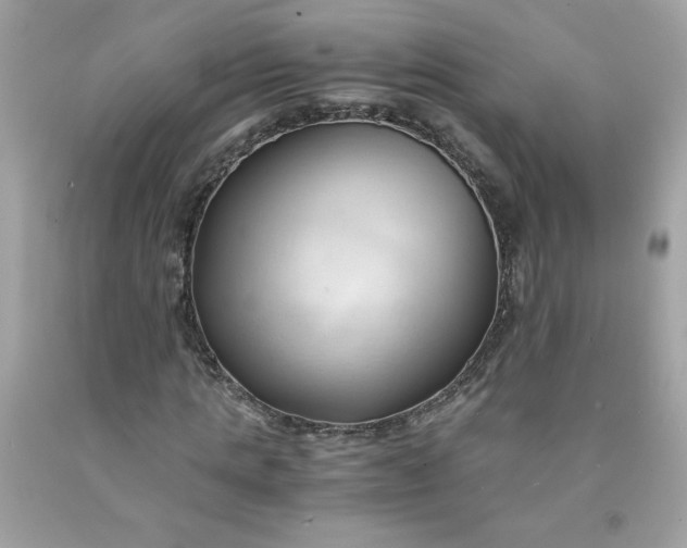 X0000091570821200709051037