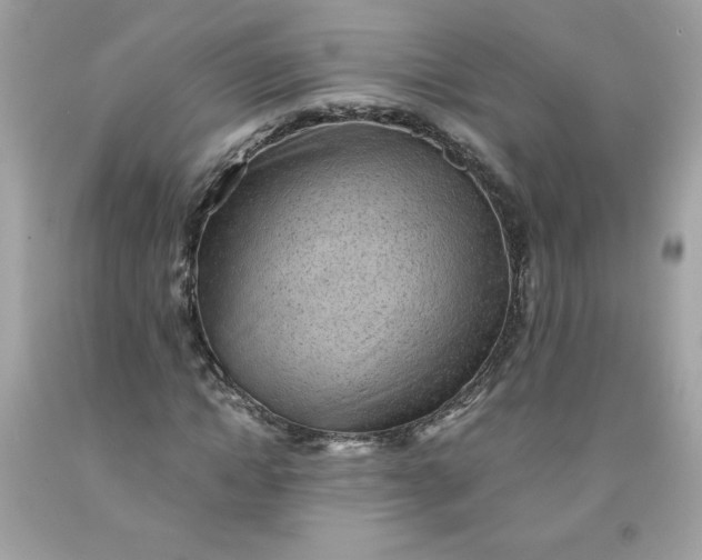 X0000091570822200709051037