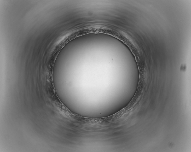 X0000091570823200709051037