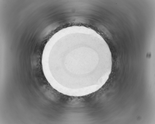 X0000091570824200709051037