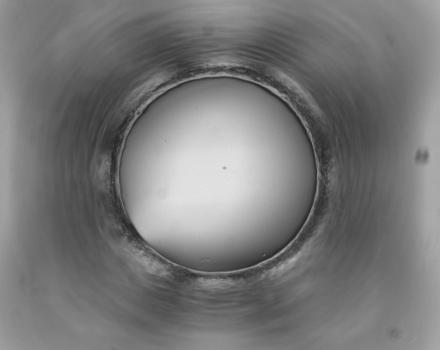 X0000091570825200709051037