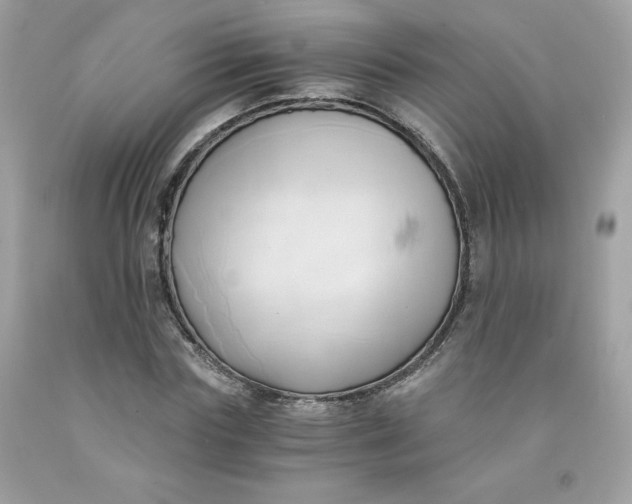 X0000091570827200709051037