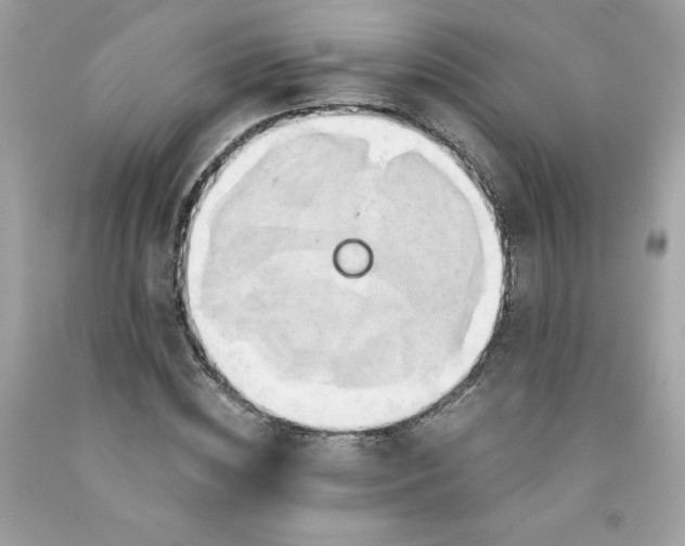 X0000091570828200709051037