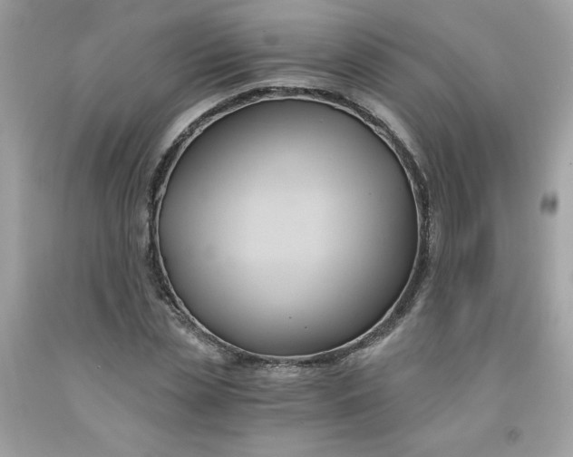 X0000091570829200709051037