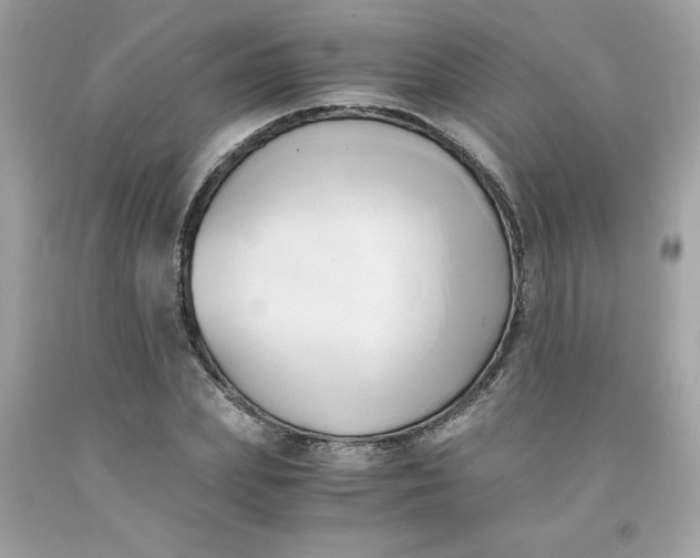 X0000091570831200709051037