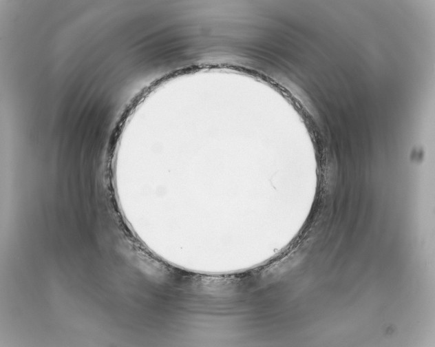 X0000091570832200709051037
