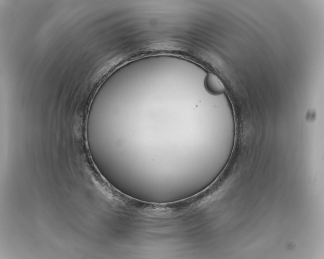 X0000091570833200709051037