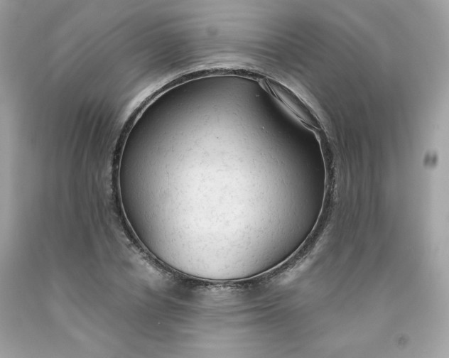 X0000091570834200709051037