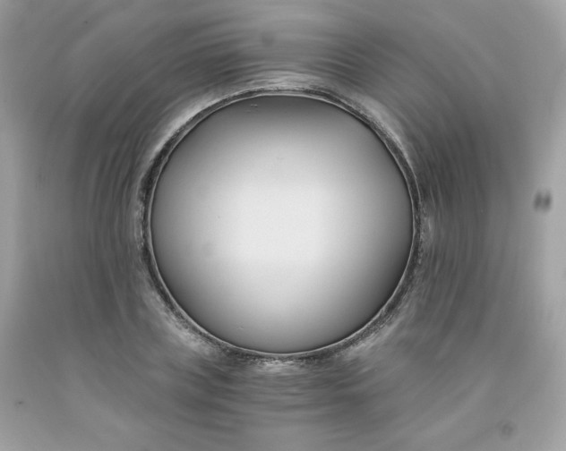 X0000091570835200709051037