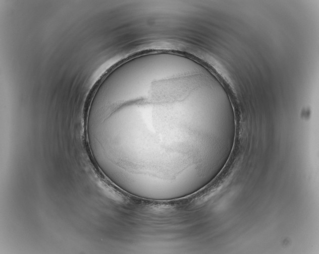 X0000091570837200709051037