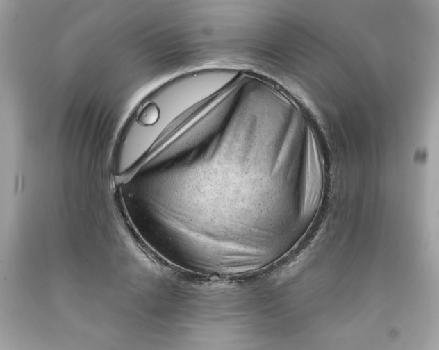 X0000091570838200709051037