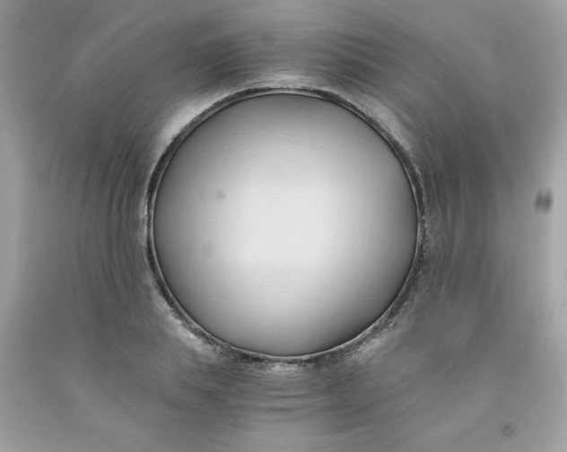 X0000091570839200709051037