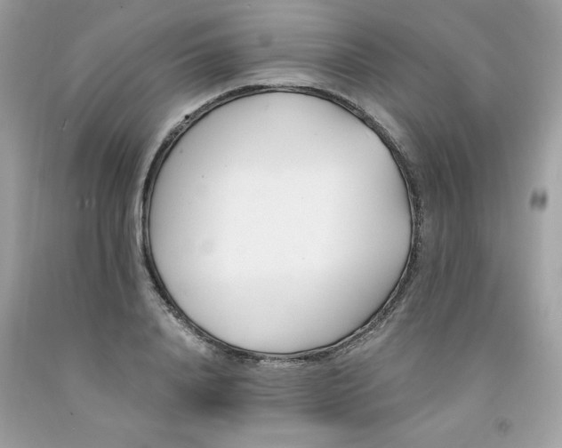 X0000091570840200709051037