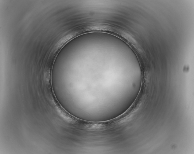 X0000091570841200709051037