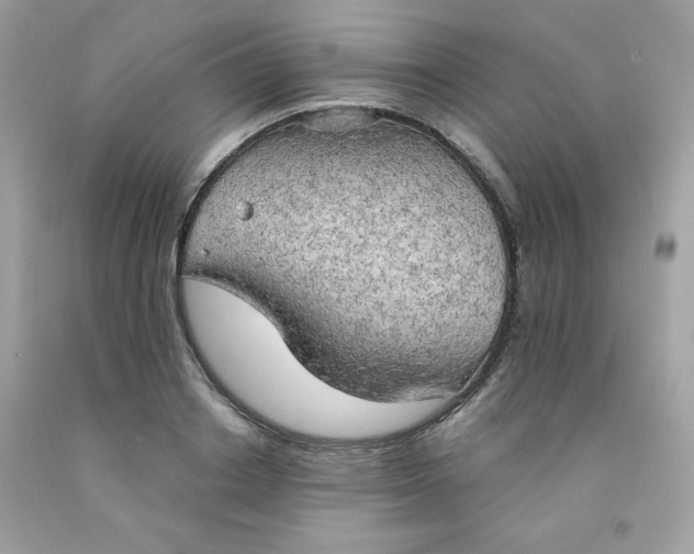 X0000091570842200709051037