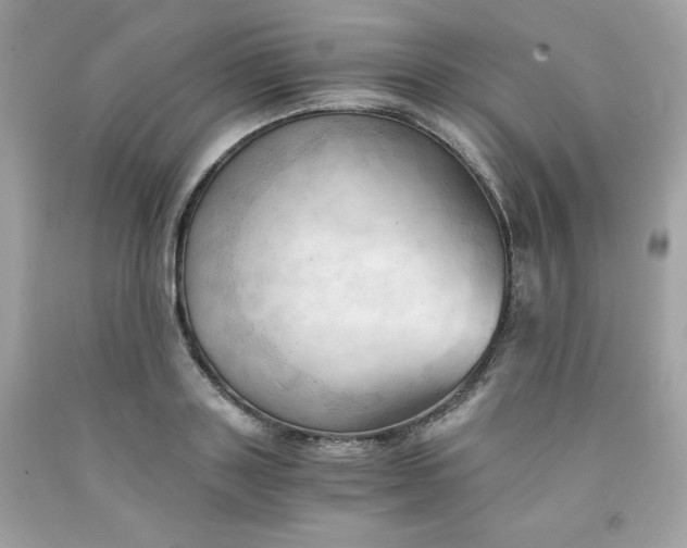 X0000091570843200709051037