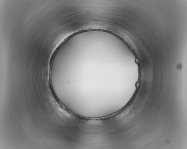 X0000091570844200709051037