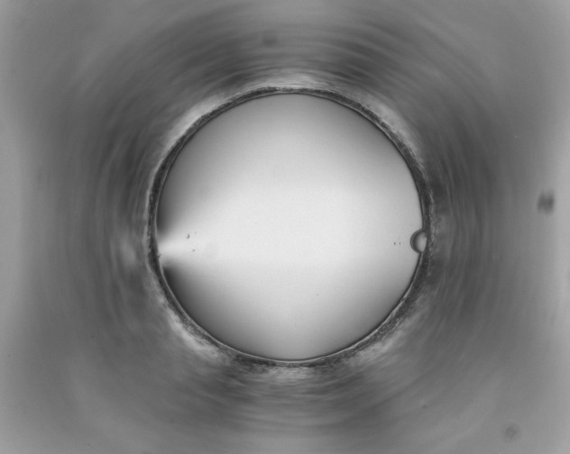 X0000091570845200709051037