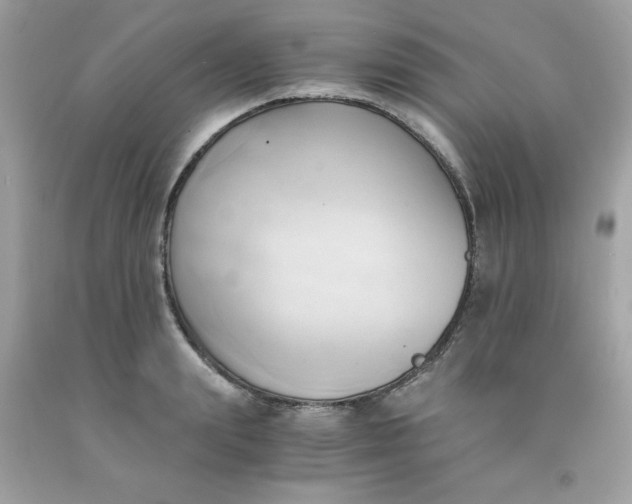 X0000091570847200709051037