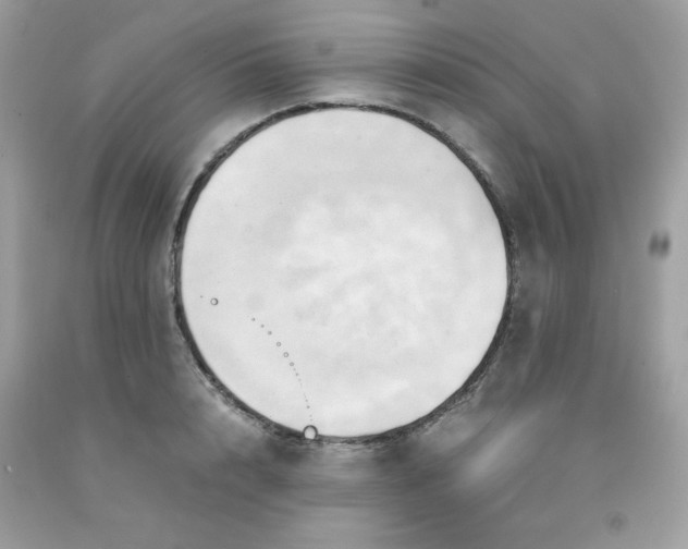 X0000091570848200709051037