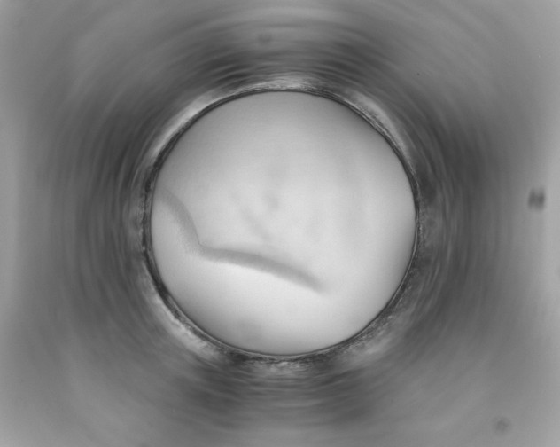 X0000091570851200709051037