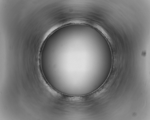 X0000091570853200709051037