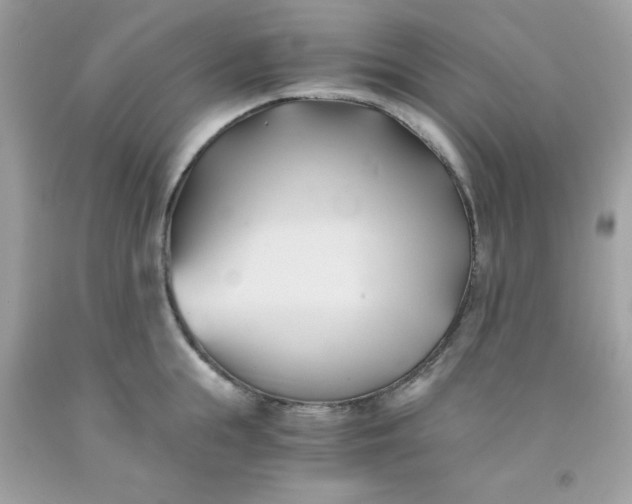 X0000091570855200709051037