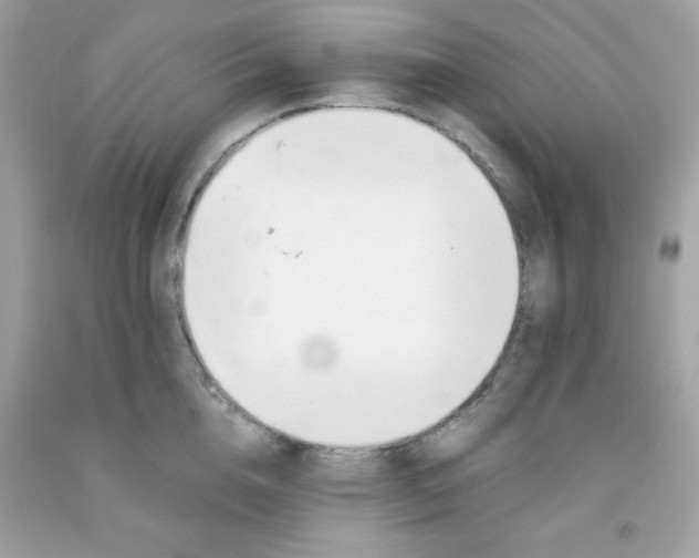 X0000091570856200709051037