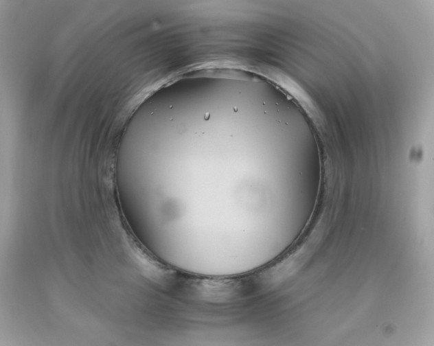 X0000091570857200709051037