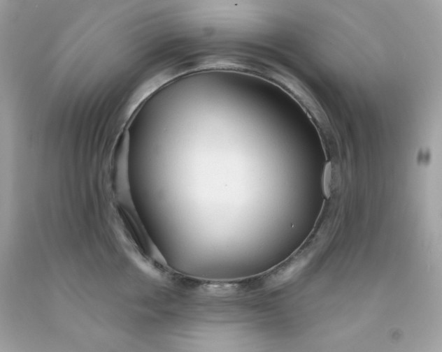 X0000091570858200709051037