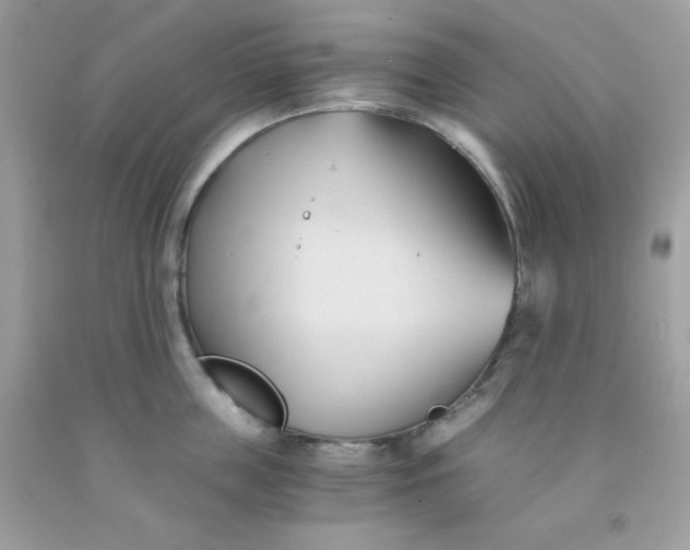 X0000091570859200709051037