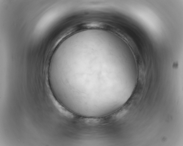 X0000091570861200709051037