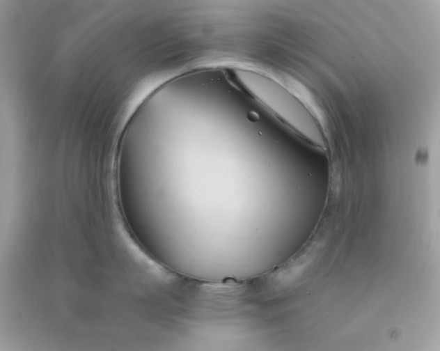 X0000091570863200709051037