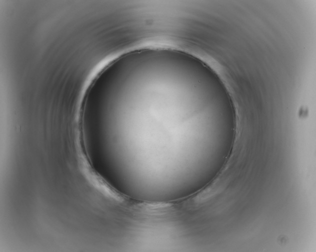 X0000091570864200709051037