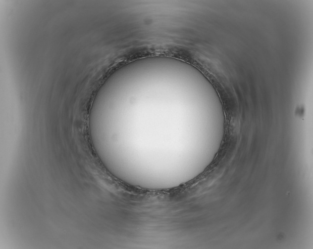 X0000091570865200709051036