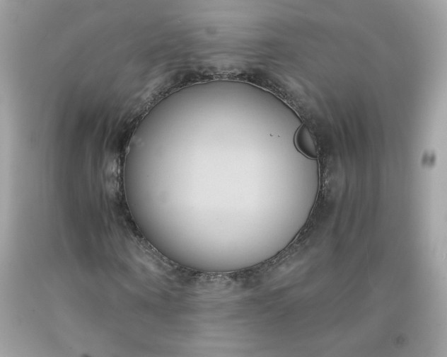 X0000091570866200709051036