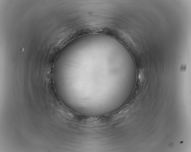 X0000091570867200709051036