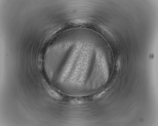 X0000091570868200709051036