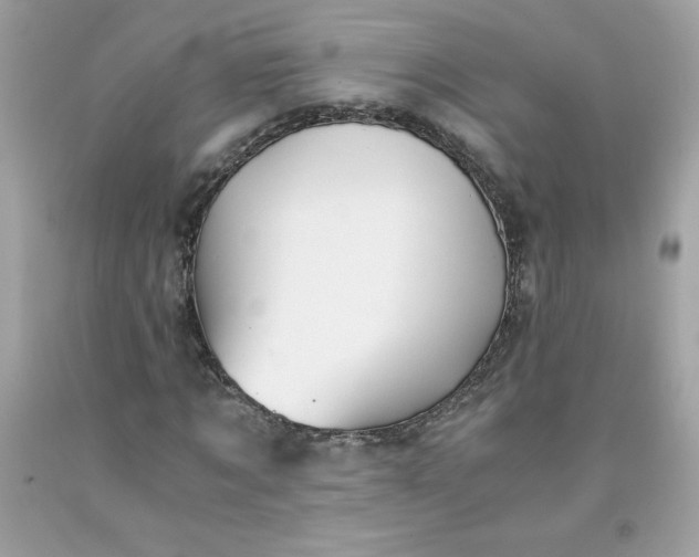 X0000091570869200709051036