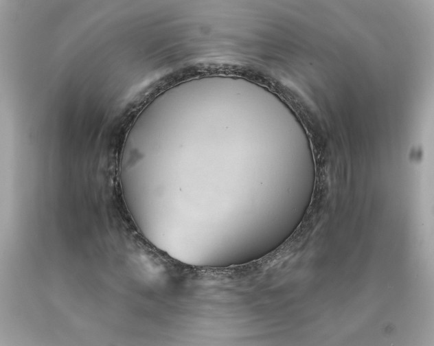 X0000091570870200709051036