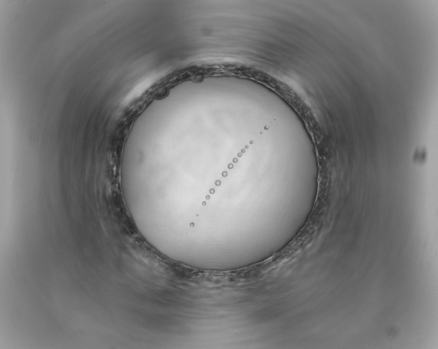 X0000091570871200709051036
