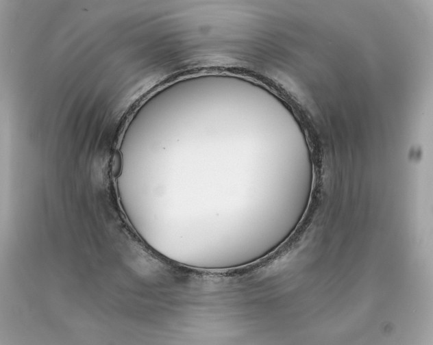 X0000091570873200709051036