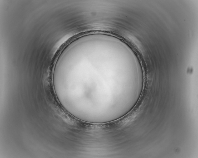 X0000091570875200709051036
