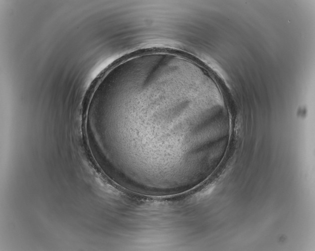 X0000091570877200709051036