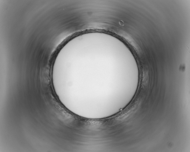 X0000091570878200709051036