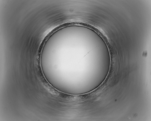 X0000091570879200709051036