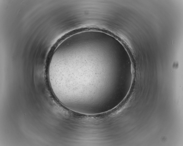 X0000091570880200709051036
