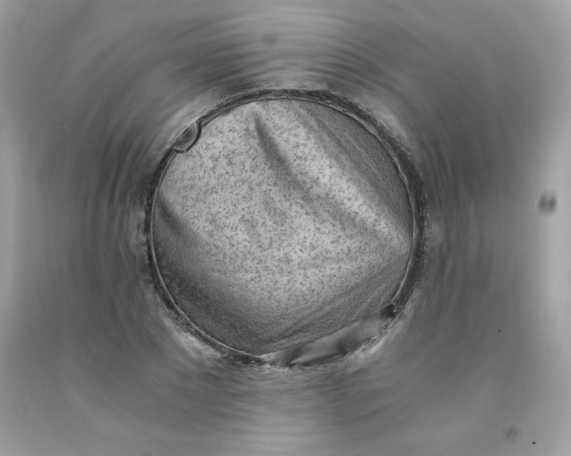 X0000091570881200709051036