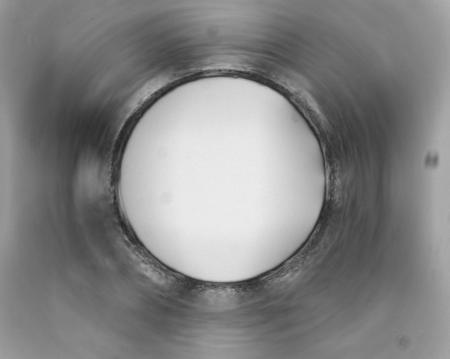 X0000091570882200709051036